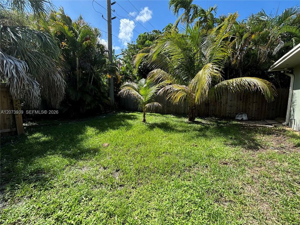 YARD