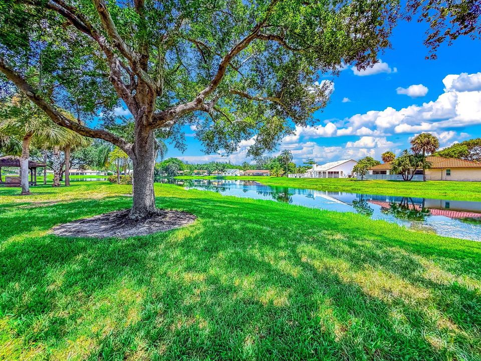 51-web-or-mls-JOY_052785