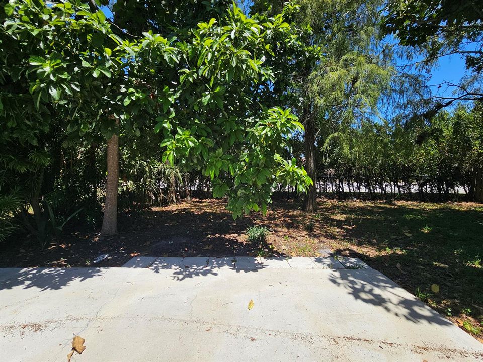Yard