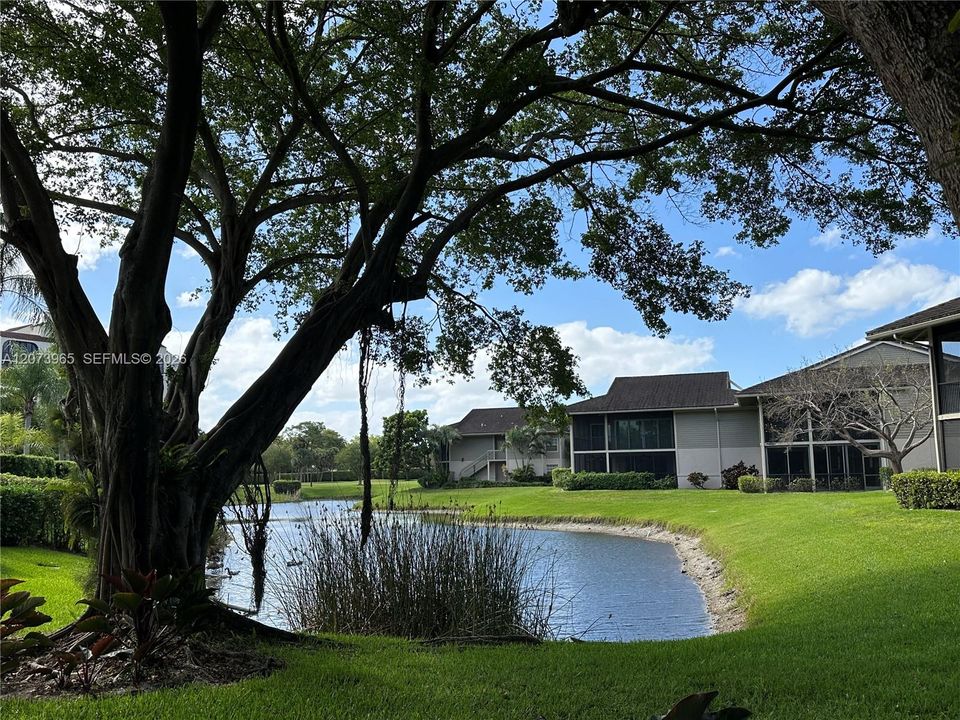 For Rent: $4,950 (3 beds, 2 baths, 1629 Square Feet)