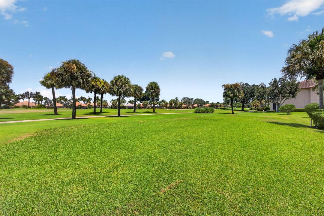 56-web-or-mls-5D1A3497