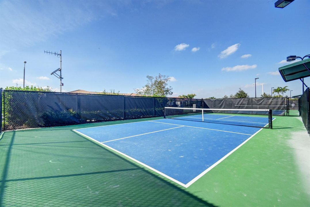 Pickleball Court