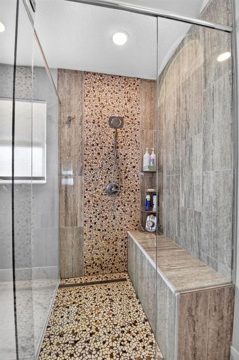 Primary Shower