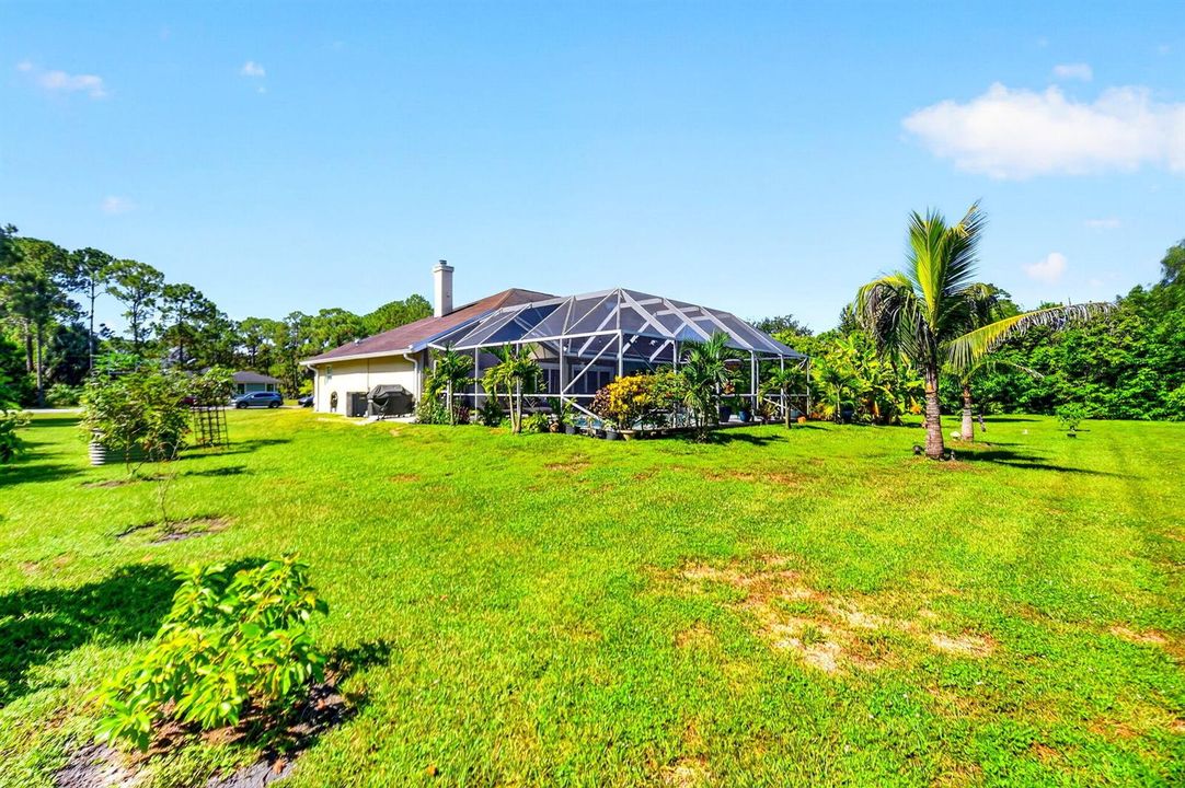 Side & Rear Yard