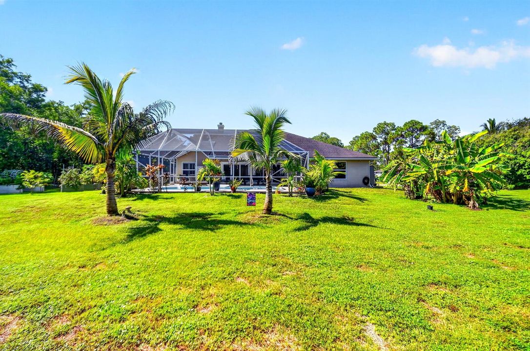 Rear Yard