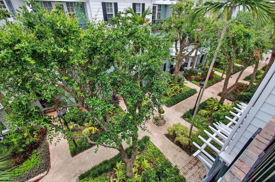 View from Primary Balcony