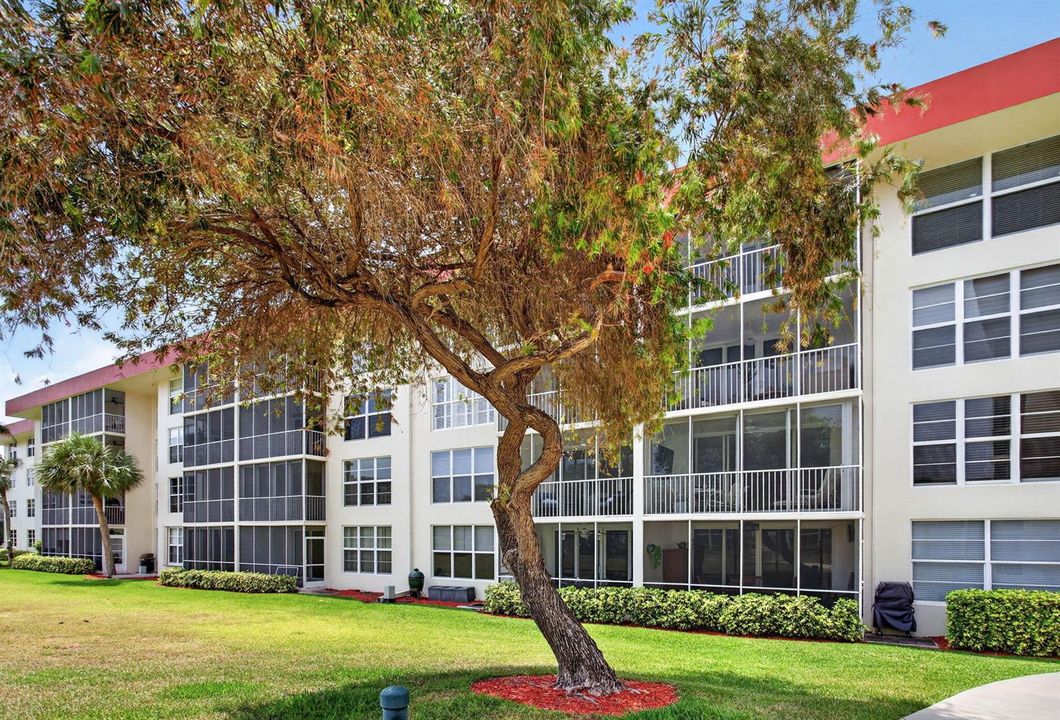 2-web-or-mls-3100-6909