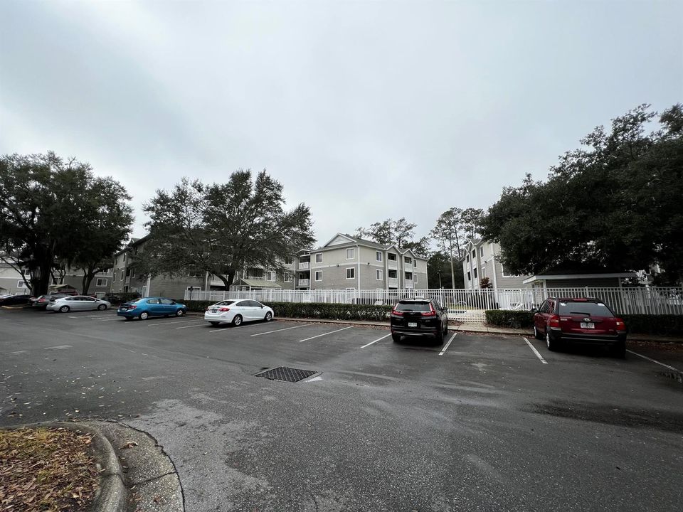 IMG-8050