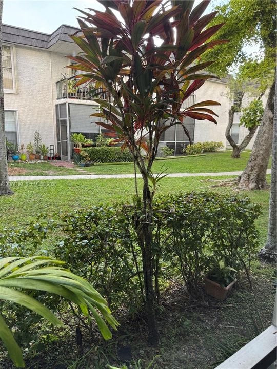 For Sale: $198,500 (1 beds, 1 baths, 765 Square Feet)