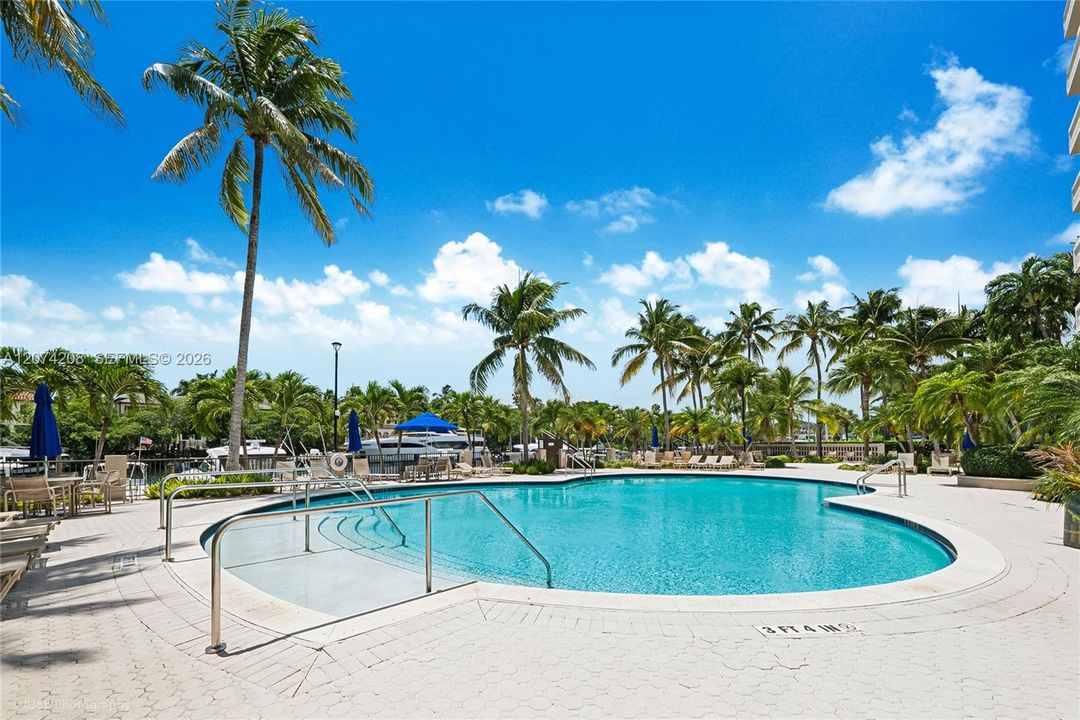 Superb Swimming Pool on the Coral Gables Waterway
