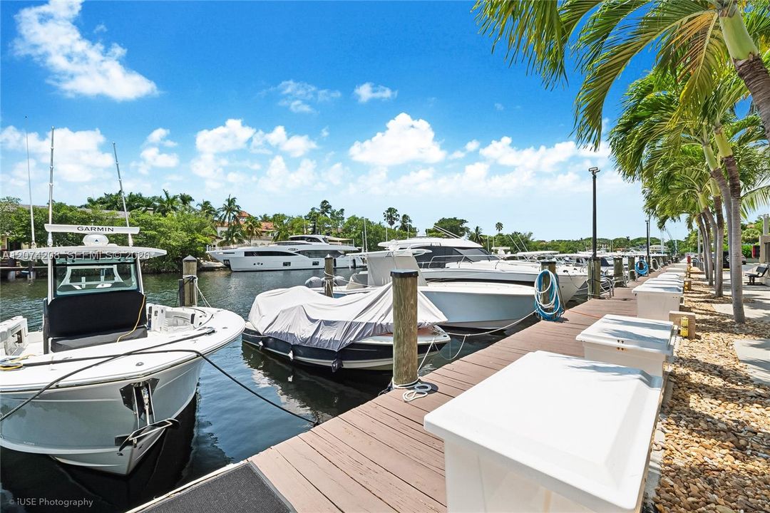 South Florida Scene!