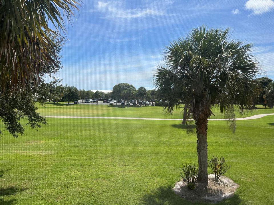 View from Balcony