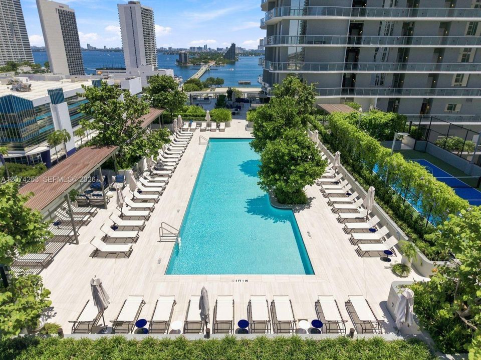 11th Floor Pool