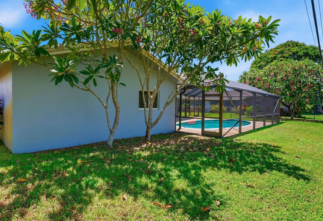 23_Rear_Yard_and_Pool_Enclosure