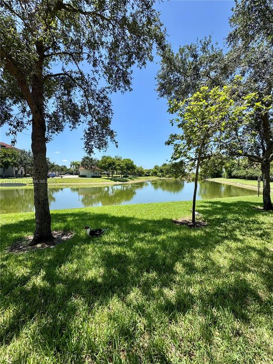 For Rent: $2,999 (2 beds, 2 baths, 1628 Square Feet)