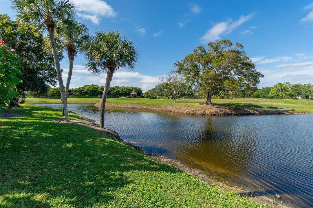 34-web-or-mls-DSC09430
