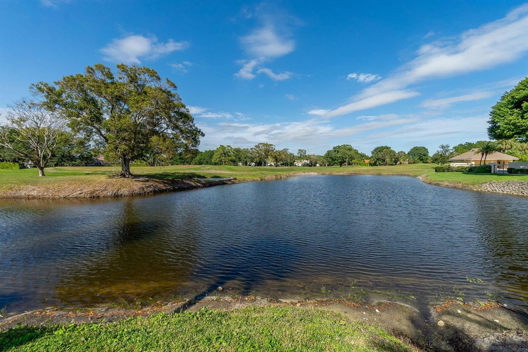 35-web-or-mls-DSC09431