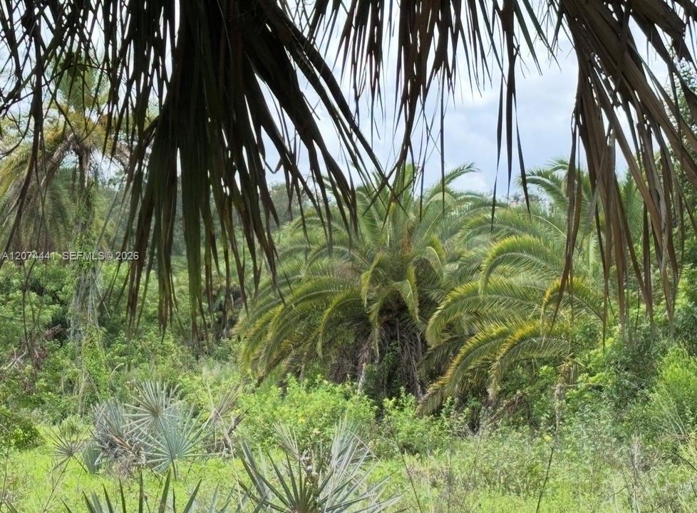На продажу: $2,800,000 (7 спален, 5 ванн, 6734 Квадратных фут)