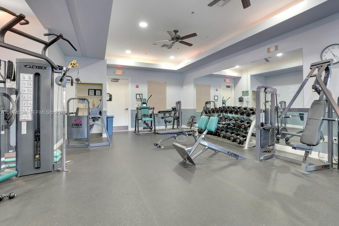 GYM