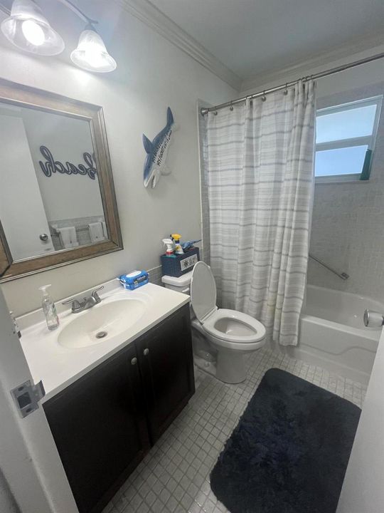 2nd/guest bathroom
