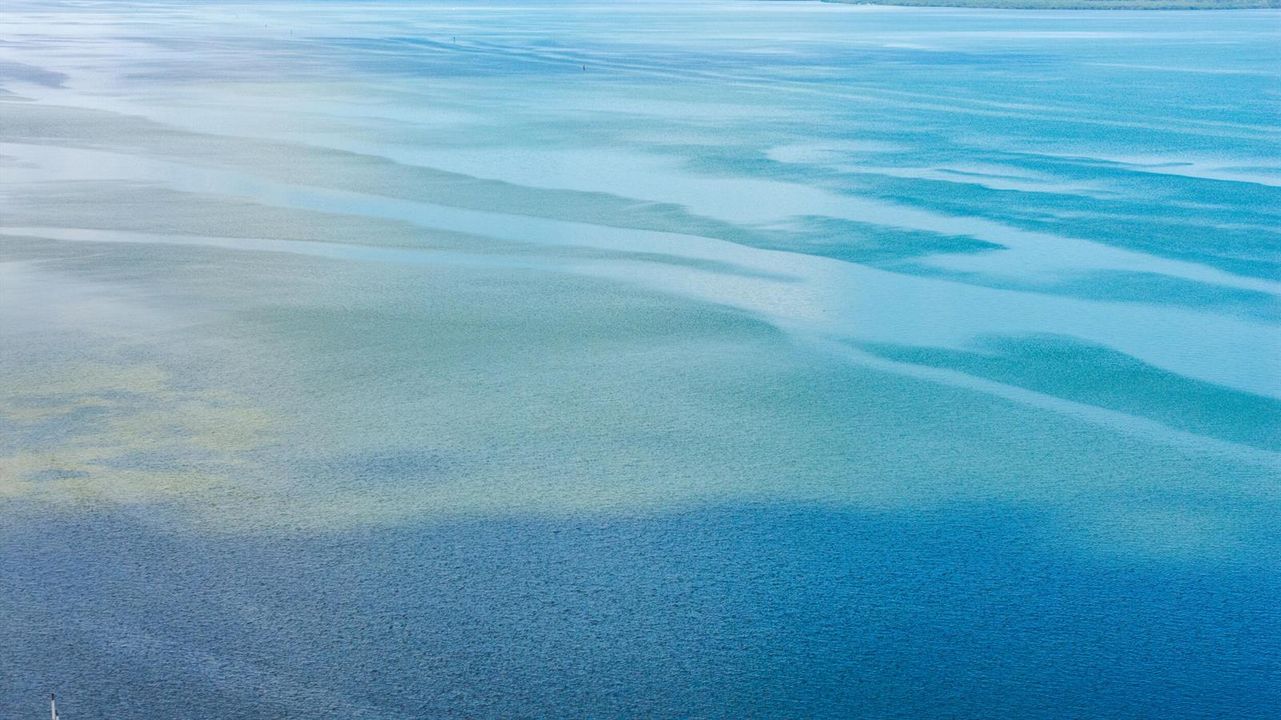 31_dji_20260818020122_0120_d