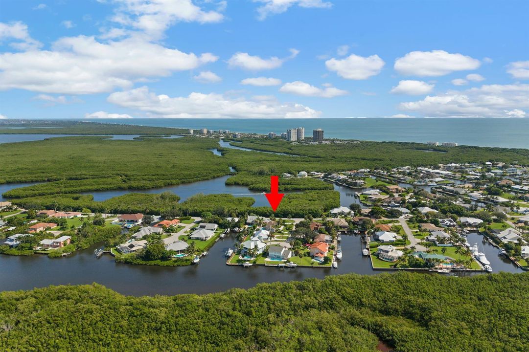 48-web-or-mls-121 Queen Eugenia Ct - 48
