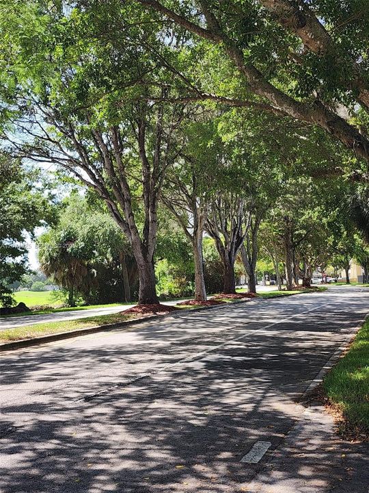 Kendale Lakes Drive