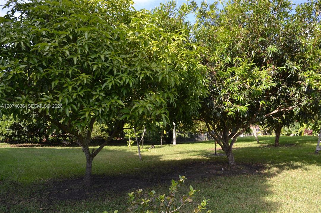 For Sale: $3,200,000 (6 beds, 4 baths, 4052 Square Feet)