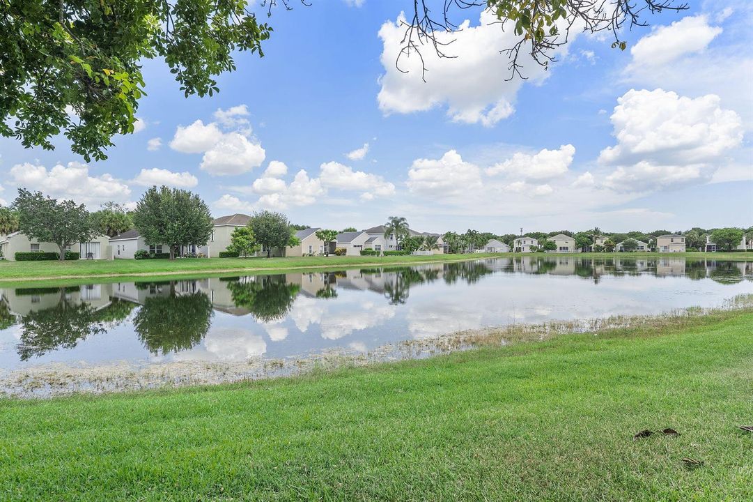 44-web-or-mls-DSC01622