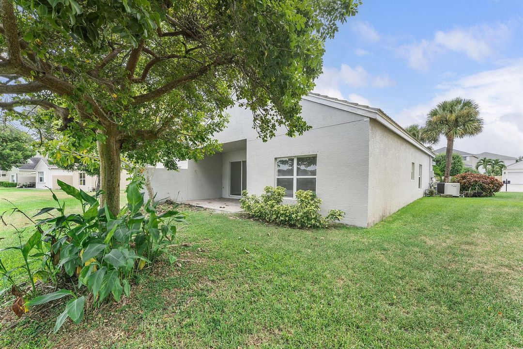 46-web-or-mls-DSC01628