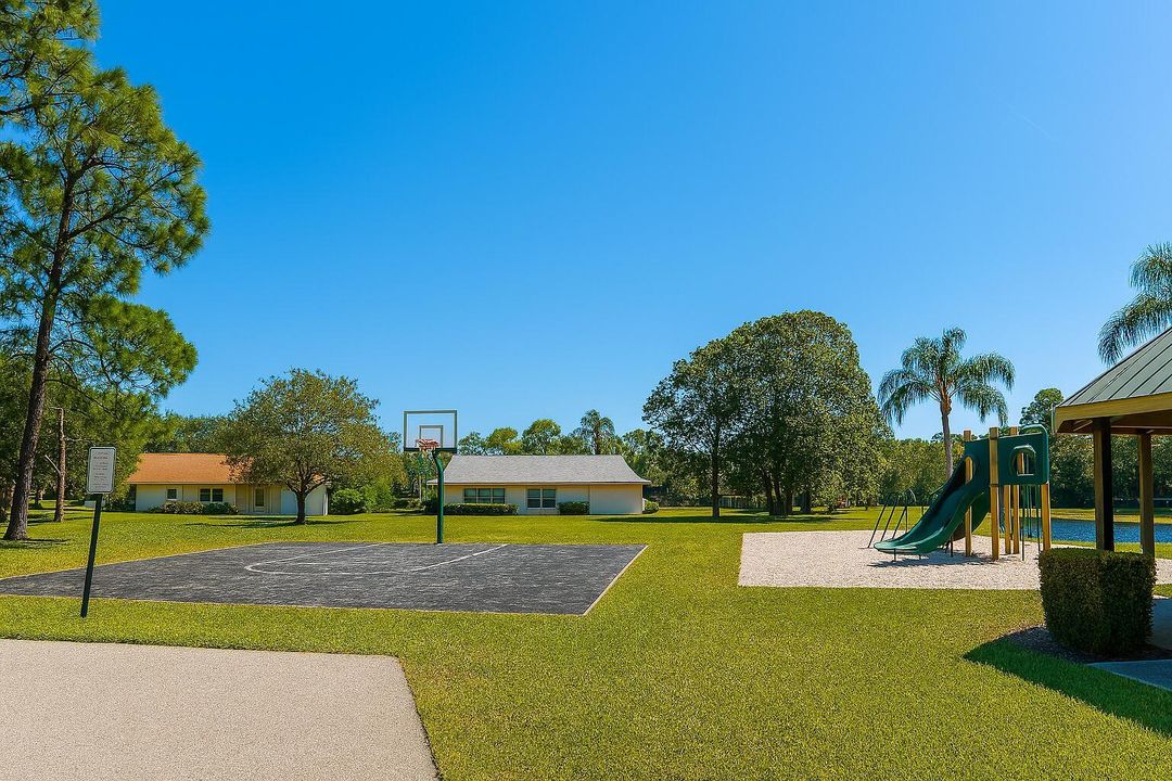 basketball court