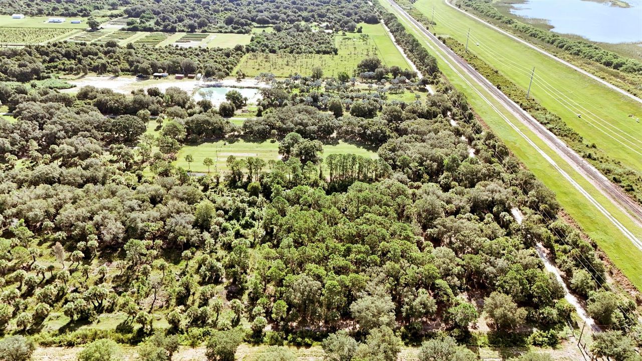 Aerials-1
