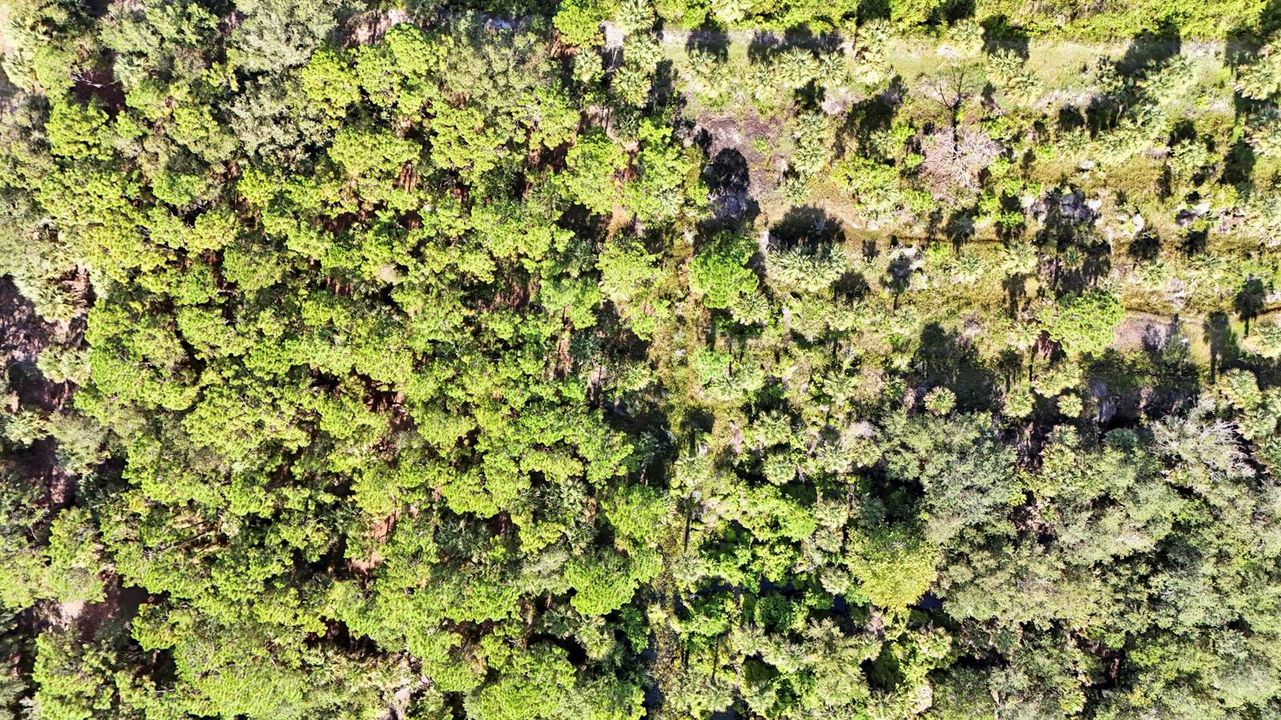 Aerials-6