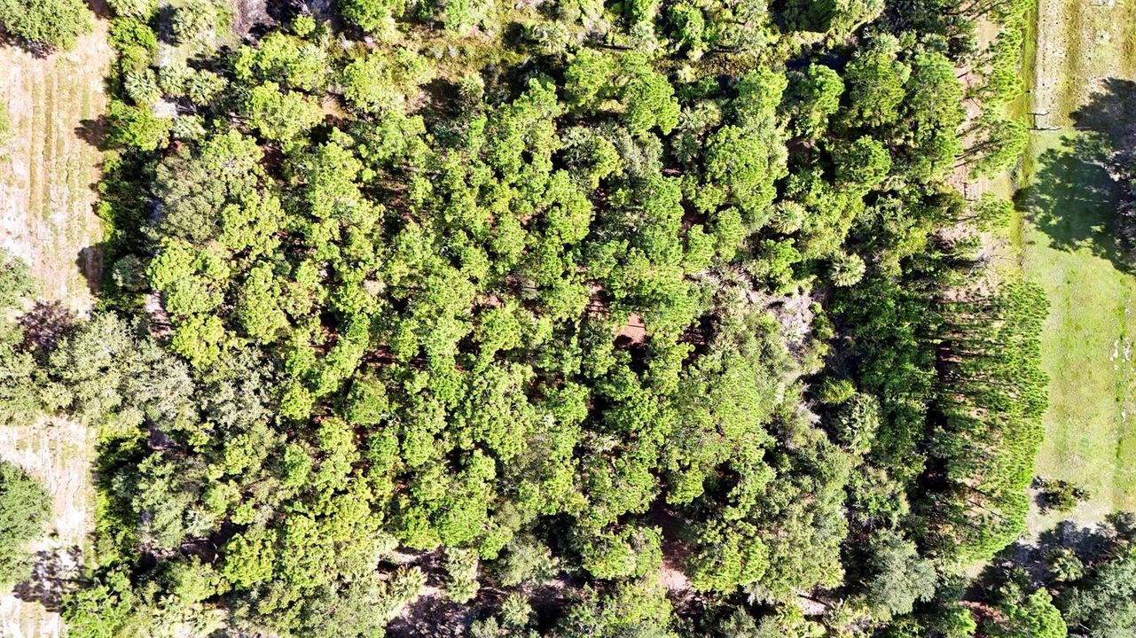 Aerials-5