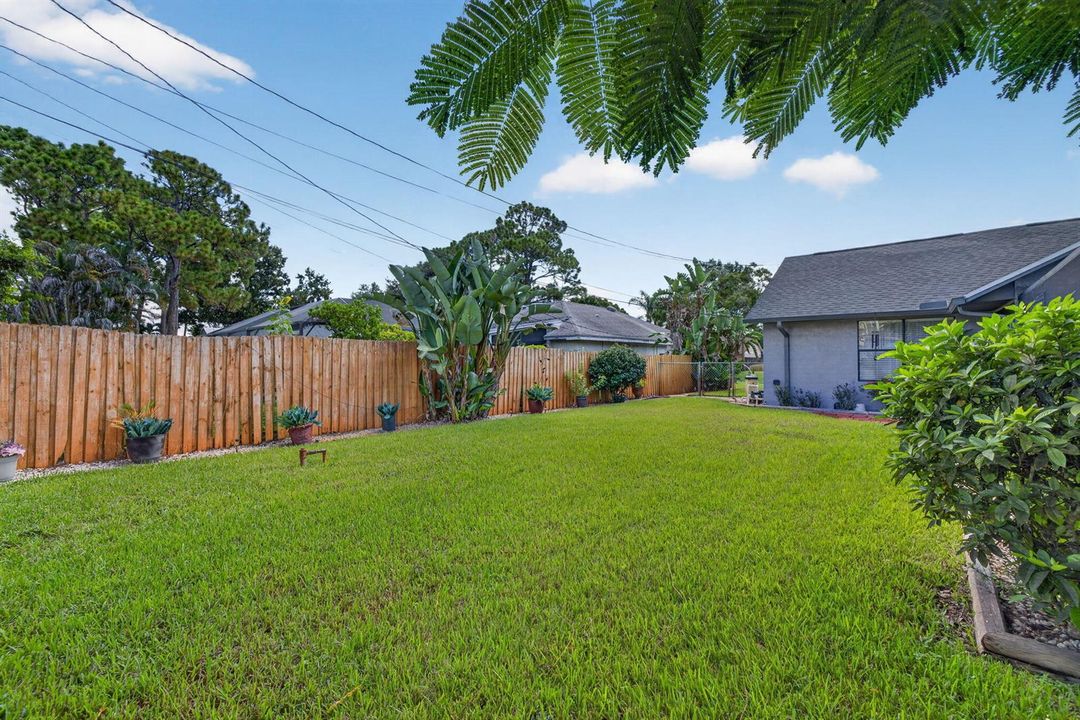 Back Yard