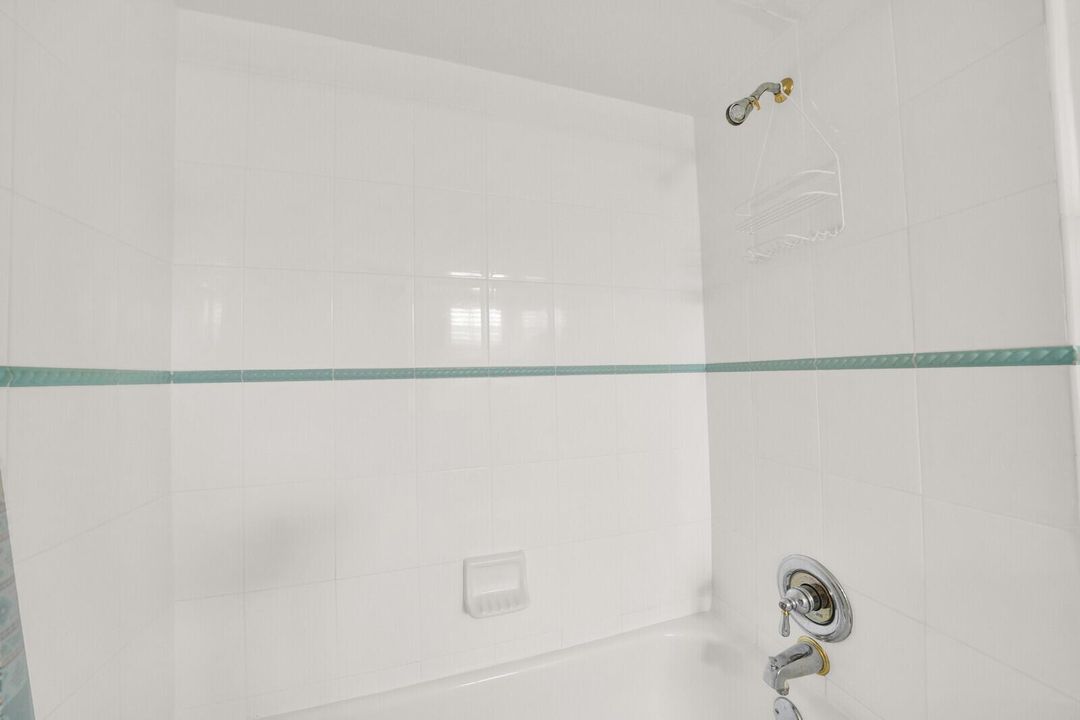 Primary bath shower and tub