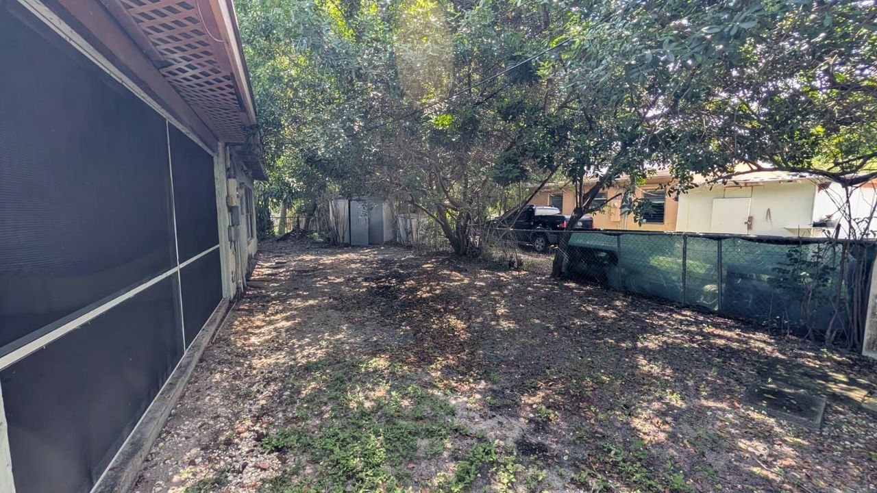 backyard