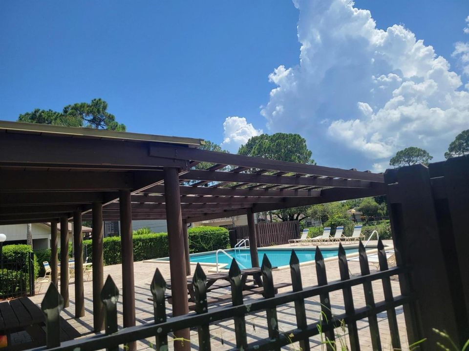 The Pool Area