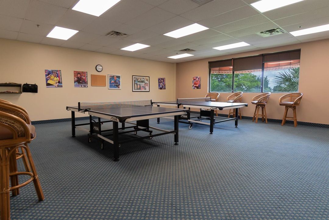 48. Ping Pong