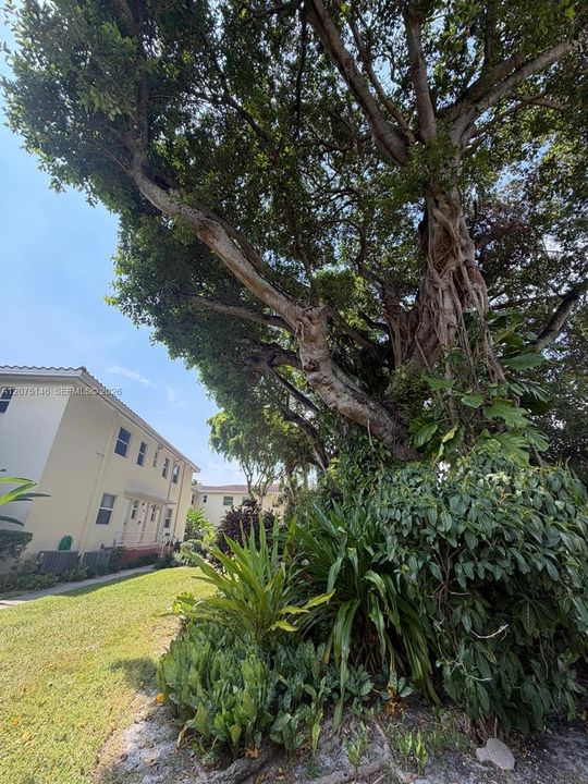 For Rent: $2,100 (2 beds, 1 baths, 798 Square Feet)