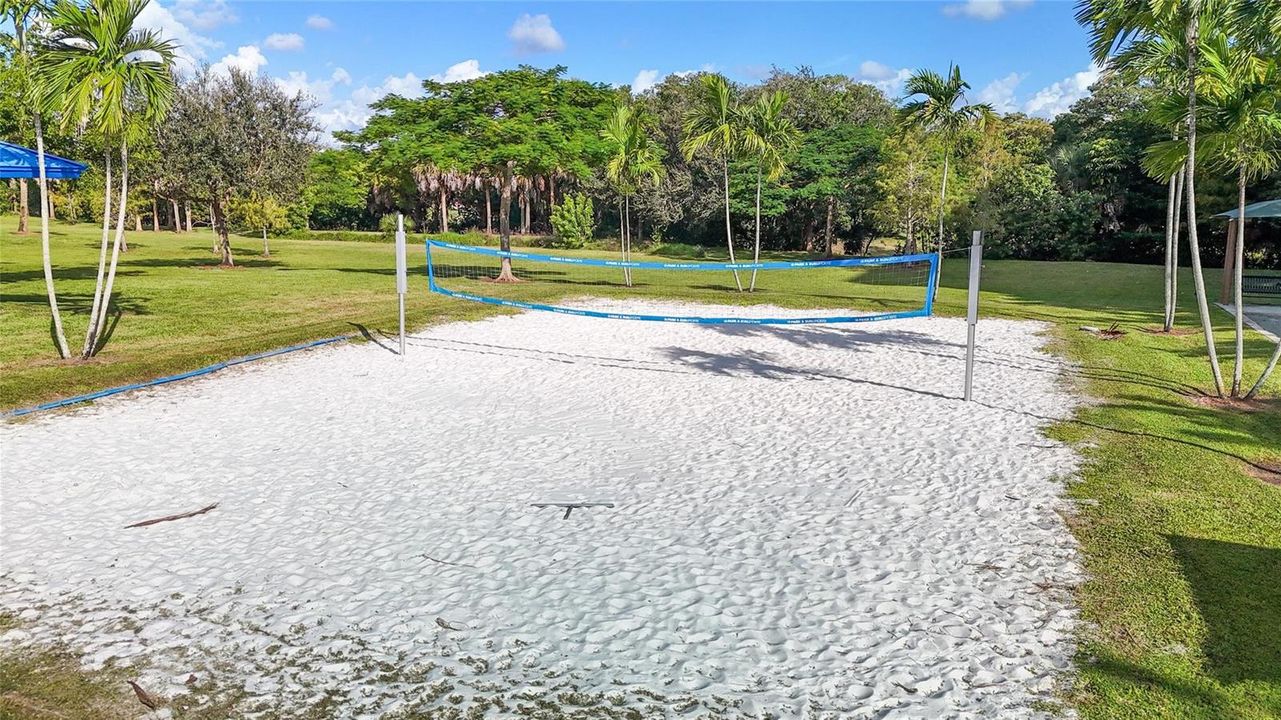 Volley Ball Court