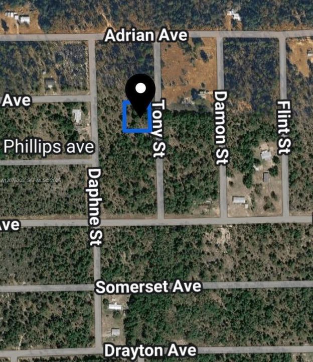For Sale: $8,000 (0.23 acres)