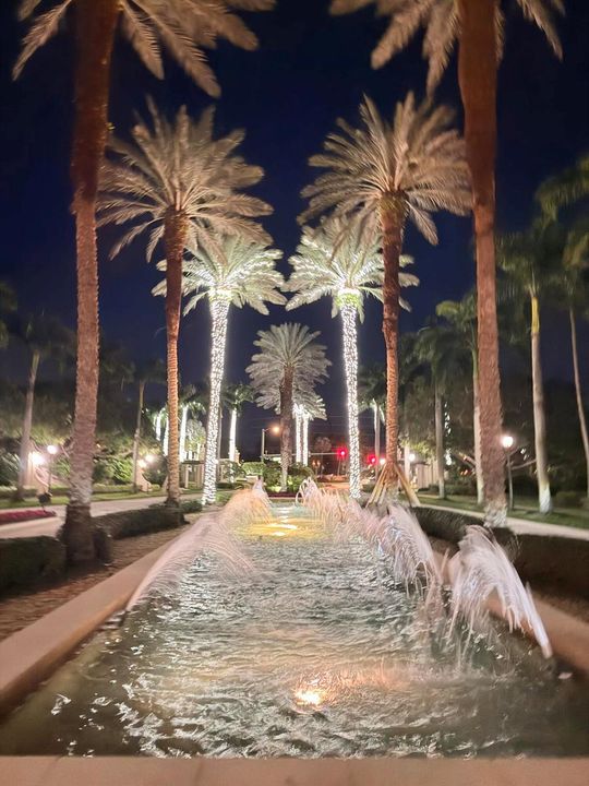 Valencia palms front xmas