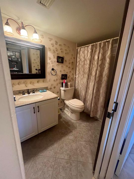 2nd/guest bathroom