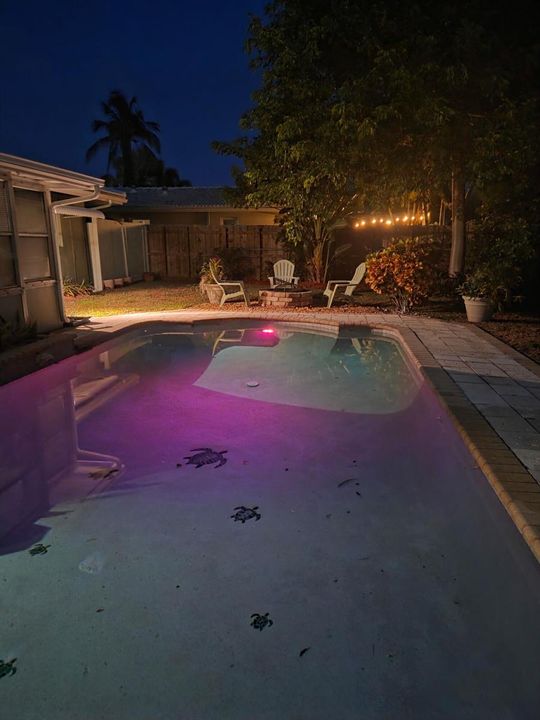 pool