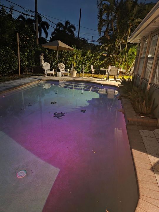 pool2