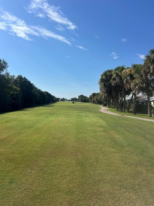 7th fairway