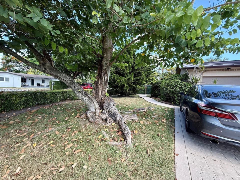 For Rent: $1,100 (0 beds, 1 baths, 600 Square Feet)