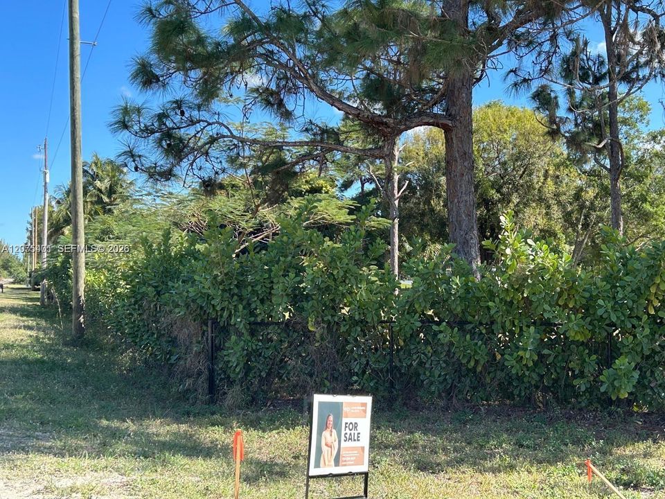 待售: $515,000 (1.95 acres)