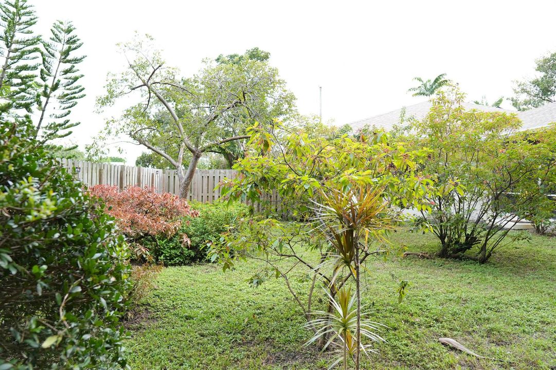 DSC00579